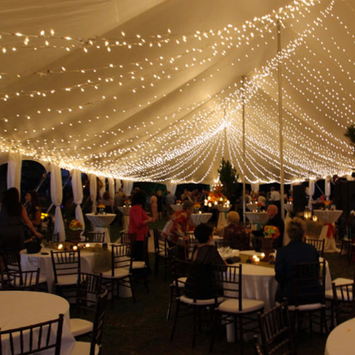 Twinkle Light Canopy Vincent Tent And Event Rentals