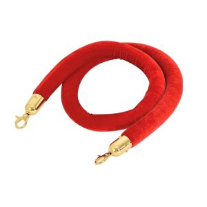 Red velvet ropes with gold clips