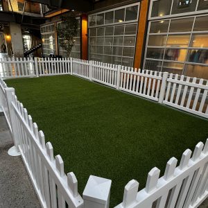 Fencing and Crowd Control